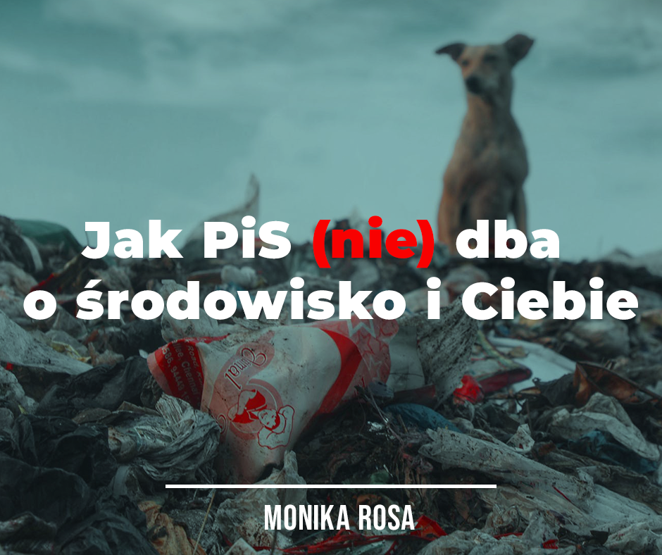 Jak PiS (nie) dba o środowisko i Ciebie | Monika Rosa