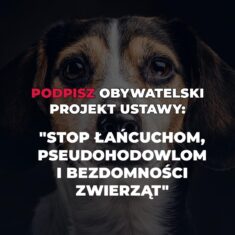 „Stop łańcuchom, pseudohodowlom i bezdomności zwierząt”